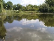 DSC08735.JPG