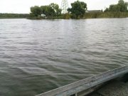 DSC08743.JPG