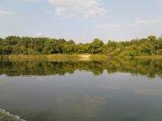 DSC08749.JPG