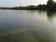 DSC08755.JPG