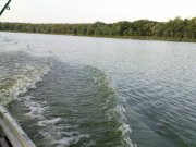 DSC08760.JPG