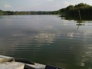 DSC08753.JPG