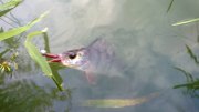 WP_20130903_007.jpg
