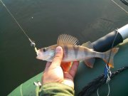 IMG_20130901_064938.jpg