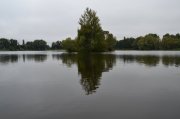 DSC_0910.JPG