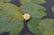 DSC_0927.JPG