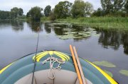 DSC_0914.JPG