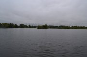 DSC_0933.JPG