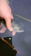 WP_20130907_012.jpg