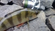 WP_20130907_016.jpg