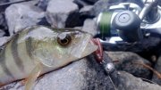 WP_20130907_018.jpg