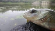 WP_20130907_035.jpg