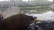 WP_20130907_038.jpg