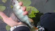 WP_20130907_041.jpg