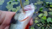 WP_20130907_047.jpg
