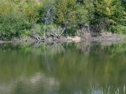 лучиці 7-9-13 007.jpg