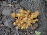 DSC00433.JPG