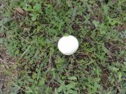 DSC00434.JPG