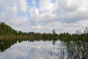 DSC_0048.jpg