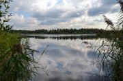 DSC_0049.jpg