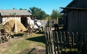 100_7161.jpg