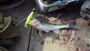DSC05545.JPG