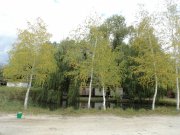 DSC00452.JPG