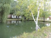 DSC00453.JPG