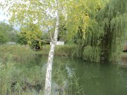 DSC00454.JPG