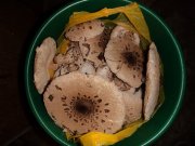 DSC00464.JPG