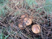 DSC00472.JPG