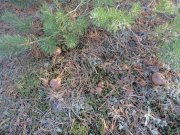 DSC00476.JPG
