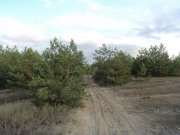 DSC00482.JPG