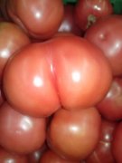 CAM00623.jpg