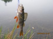 IMG_0763.JPG
