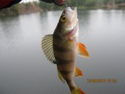 IMG_0765.JPG