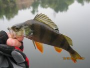 IMG_0766.JPG