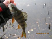 IMG_0767.JPG