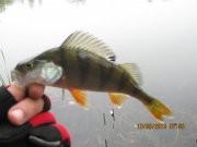 IMG_0768.JPG