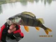 IMG_0769.JPG