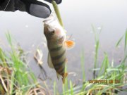 IMG_0771.JPG