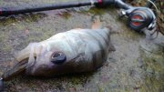WP_20130914_007.jpg