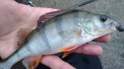 WP_20130914_021.jpg