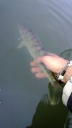 WP_20130914_057.jpg