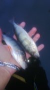 WP_20130914_059.jpg