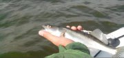 IMG_20130914_110353.jpg