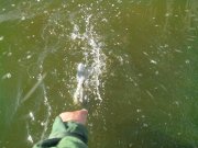 IMG_20130914_110405.jpg