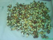 DSC01865.JPG