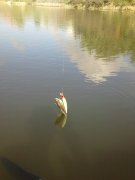 160920134537.jpg
