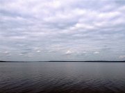 IMG_01241.jpg